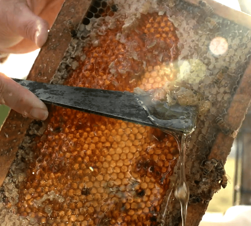 Step 3 Honey