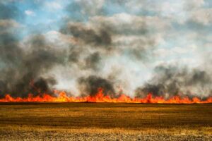 big flames in an harvested field catching fire