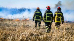 Firefighters fighting a wildfire. Firemen extinguishing a blazing wild fire in nature.